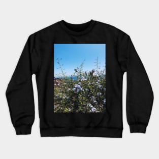 Tiny Beachside Flowers Crewneck Sweatshirt